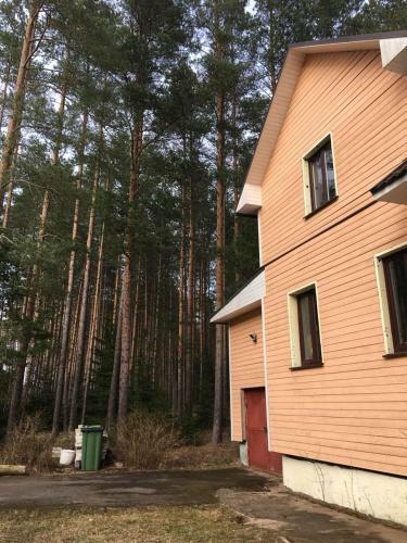 ?????? ??????? Svetofor ? Narva-j�esuu