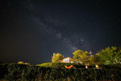 Hotel Tarika Resort & Spa - Chail