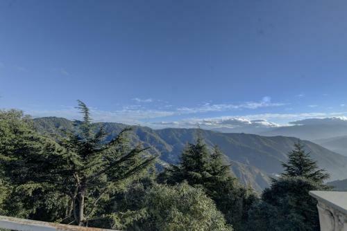 Hotel Tarika Resort & Spa - Chail