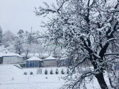 Hotel Snowdrop Eco Resort