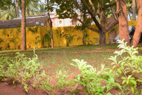 Hotel 10 Candolim Goa