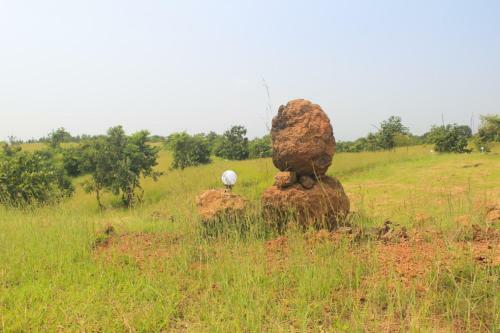 Savli Farms Camping And Adventures