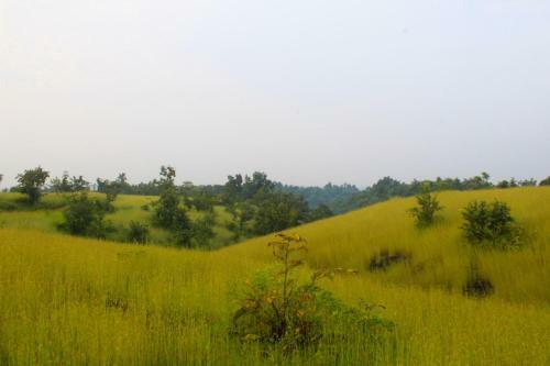 Savli Farms Camping And Adventures
