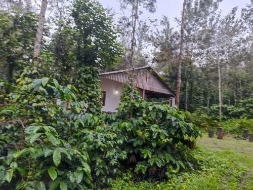 Villa Coffee Country Homestay