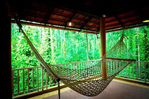 Lakeview Nest Homestay