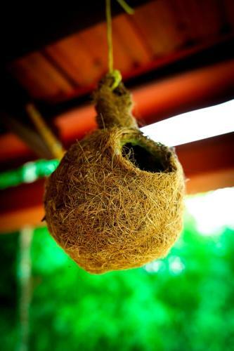 Lakeview Nest Homestay