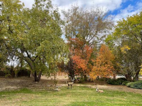 Kern River Home
