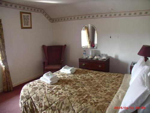 Hostal The Golden Lion Hotel