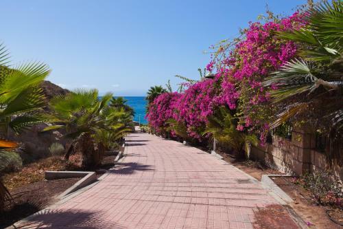 Apartamento Parque Santiago II Playa Las Americas