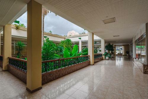 Apartamentos En El Dorado