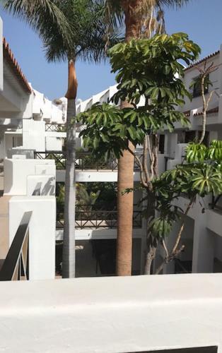 Apartamento En Playa Las Americas