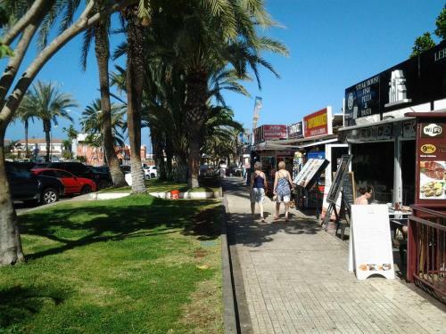 Apartamento Paraiso Royal Dany & Pina