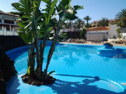 Apartamento Paraiso Royal Dany & Pina