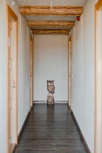 Hostal Soomaa Puhkek�la