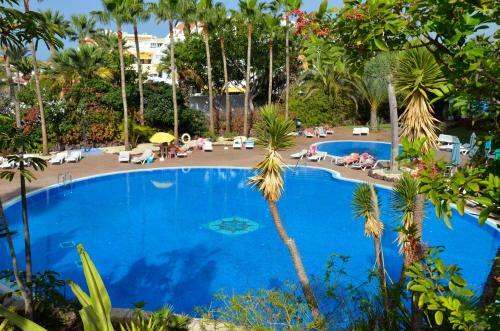 Apartamento Cozy Studio Las Americas