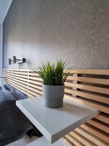 R63 Apartment With Terrace