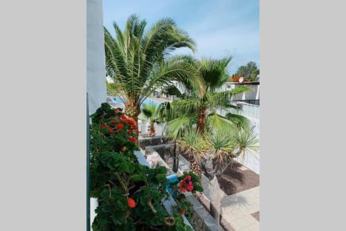 Beach And Relax Apartment Las Americas