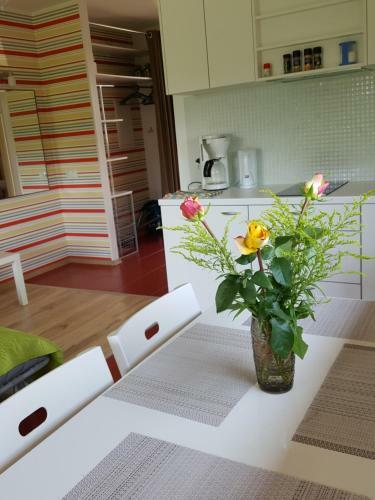 Aisa Sunny Apartment