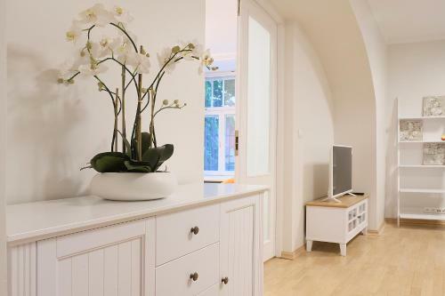 Apartment In Old Town Knight Street