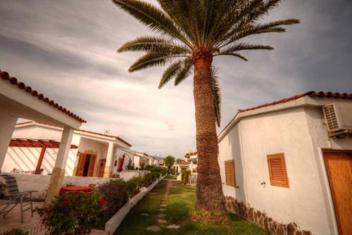Apartamento Precioso Bungalow 11