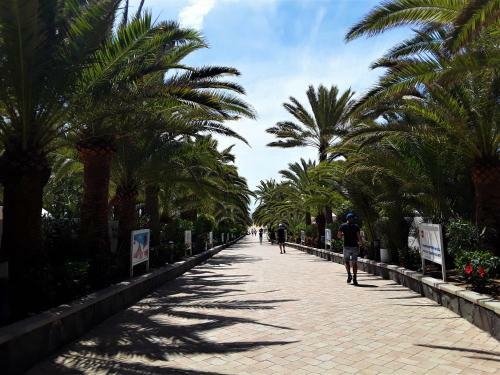 Apartamento Avenida Tirajana N�3