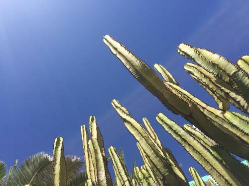 Sunrise Apartment - Playa Del Ingl�s