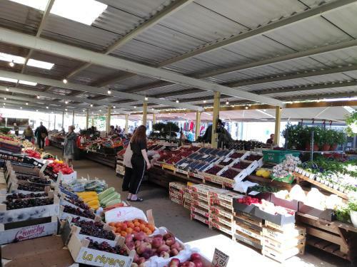 Jakobi Guest Apartment