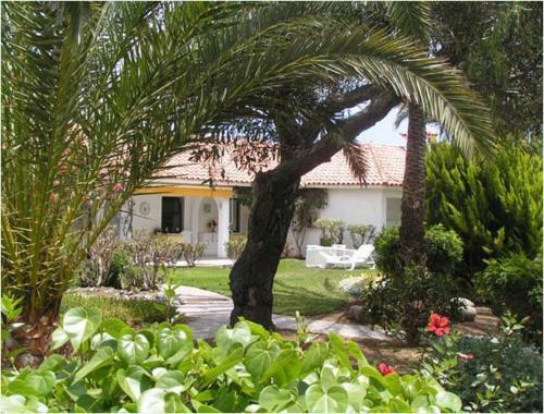 Sun Club Sun Tours Canarias Sl