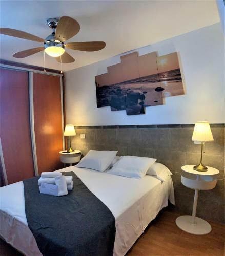 Coconut Friendly Apartment