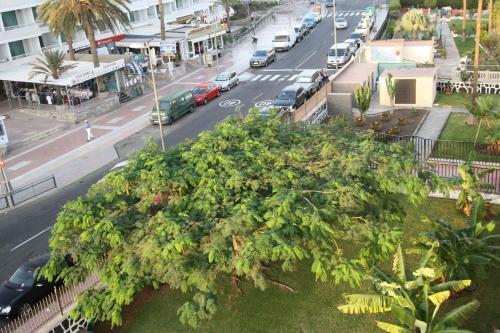Fantastic Apartment With Sea Views