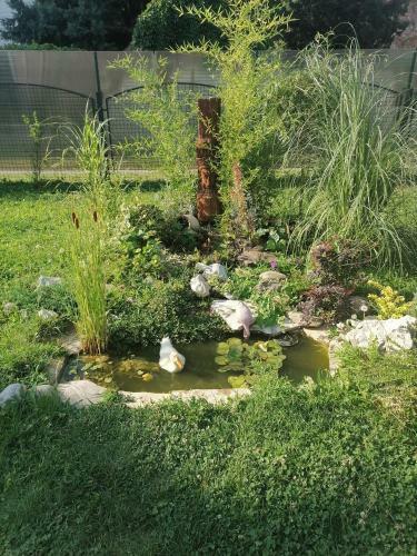 Apartman Garden House