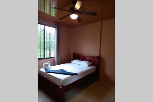 Casa R�o De Lava