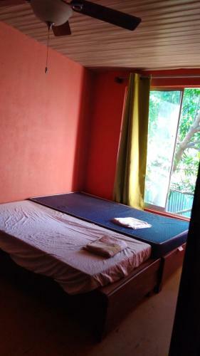 Alquiler De Cuartos En Tamarindo