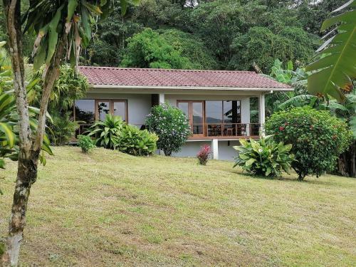 Bed & Breakfast La Ceiba Tree Lodge