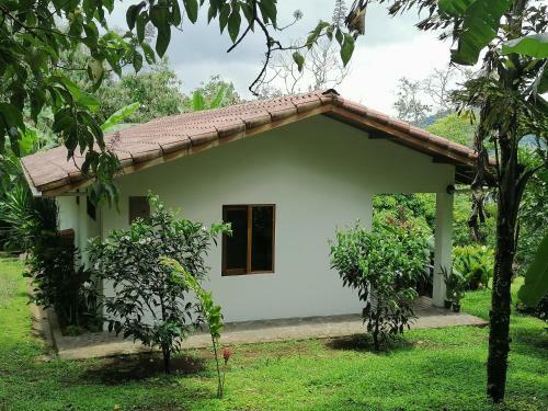 Bed & Breakfast La Ceiba Tree Lodge