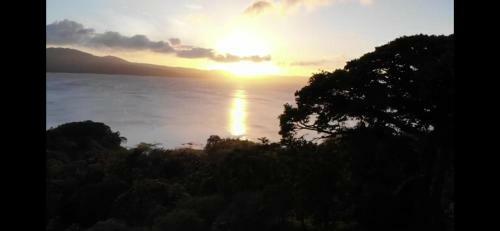 Bed & Breakfast La Ceiba Tree Lodge