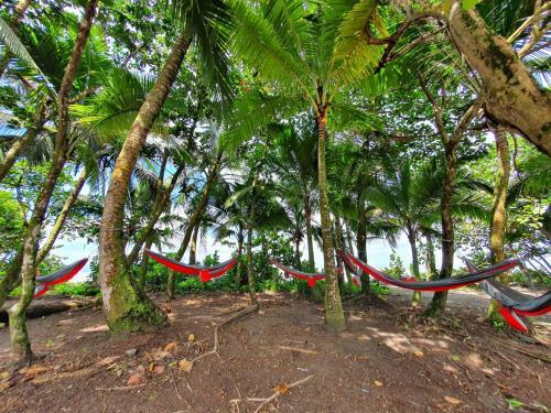 Hostal Caribbean View House