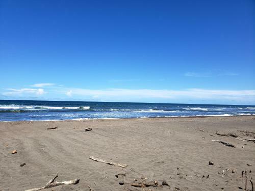 Hostal Casa Thirema Tortuguero
