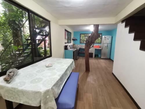 Casa Jaguar