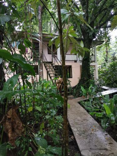 Casa Jaguar