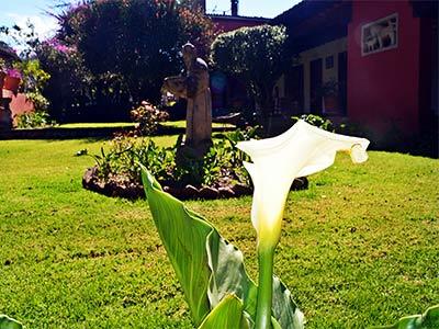 Hotel Mision Patzcuaro
