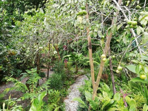 Bed & Breakfast La Monta�ita Lodge