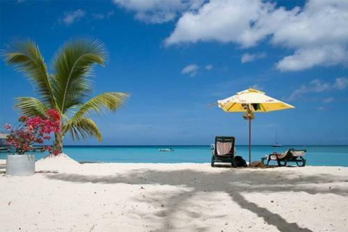 Apartamento Muy Cerca de La Playa Gran Piscina Wifi Gratis