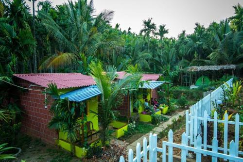 Dandeli Packages