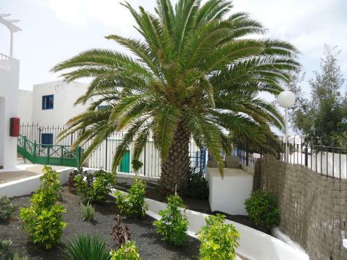 Apartamento Cactus