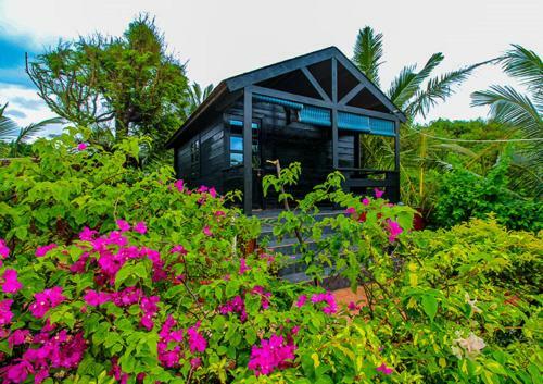 Hotel Green Concept Beach Cottages