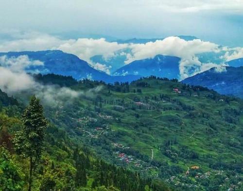 Villa Goonkeshari Homestay