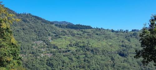Villa Goonkeshari Homestay