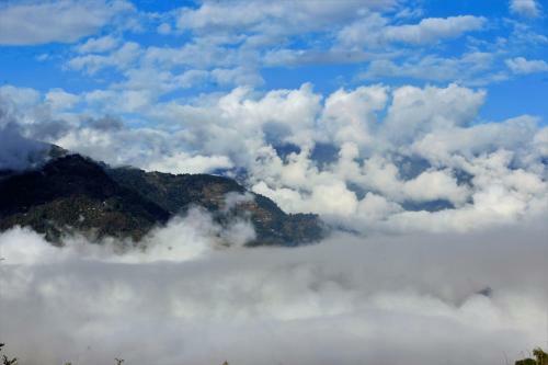 Travellers Homestay-offbeat Destination