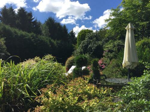 Bed & Breakfast Beechwood B And B